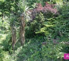 On ne devine plus les différentes zones!