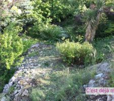 En cours de nettoyage