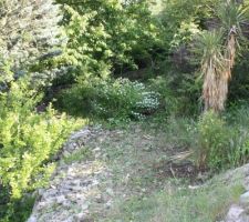 Une fois que ça sera bien nettoyer j'y mettrai 1 ou 2 fruitiers