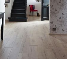 à priori nous allons opter pour ce parquet stratifié dans les chambres à l'étage  :)