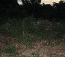Le terrain