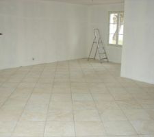 Pi&egrave;ce &agrave; vivre cot&eacute; salle &agrave; manger