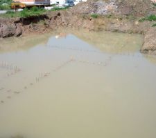 Après les fortes pluies d'il y a deux semaines nous avons une piscine olympique...