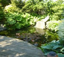 Jardin millésime 2013: vue sur le bassin par une belle matinée ensoleillée