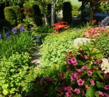 Jardin millésime 2013: iris, valérianes et azalées en fleurs