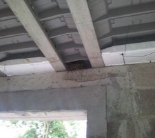 Des squatteurs ;o) je crois , malheureusement pour eux, qui ne vont pas tarder à aller poser leurs valises ailleurs!!