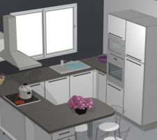 Voici une des vues de notre future cuisine. C'est le modèle STAR blanc brillant de la gamme "les tentations" de Cuisinella.
La couleur du plan de travail et du socle est grise.