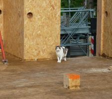 1er jour des fermettes