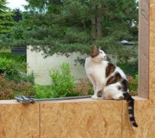 1er jour des fermettes