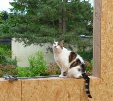 1er jour des fermettes