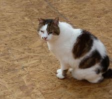 1er jour des fermettes