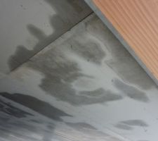Humidité