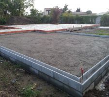Le hérisson - compacté - du garage.