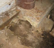Mérule sous la cheminée