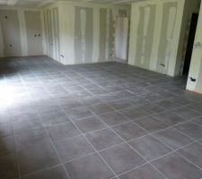 Carrelage du s&eacute;jour... n&eacute;cessite un bon nettoyage :p