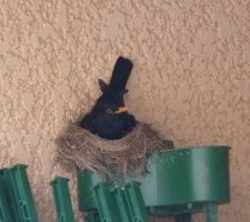 2ème jour des fermettes