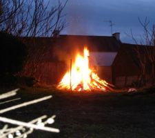 Brulage des bois atteints par la mérule
