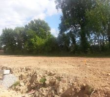 Autre vue avec un gros ch&ecirc;ne qu'il faudra sans aucun doute  &eacute;laguer un peu si l'on veut profiter pleinement du soleil...