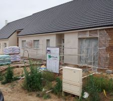 Premiere couche du crepis