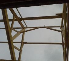 Charpente en cours... avec une petite semaine d'avance !