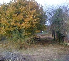 Le terrain vu du fond