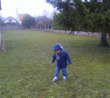 A droite le Sapin &agrave; &eacute;laguer &agrave; gauche le garage &agrave; d&eacute;monter.