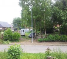 Nettoyage et coupage d arbres