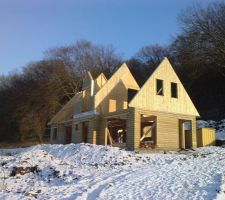 Soleil d'hiver dévoile les teintes du bois