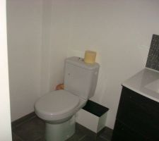 Pose wc salle de bains