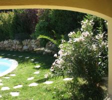 Vue du pool house sur la haie à droite, et les lauriers blanc cassé