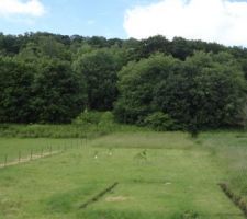 La forêt à 100 m derrière la maison