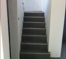 Carrelage escalier