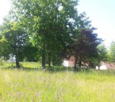 Notre petit bout de colline