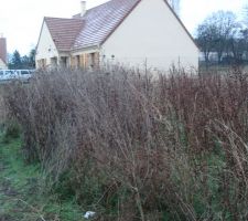 Photo du terrain prise le jour de la pose du panneau le 02/01/10.
La première vraie étape !