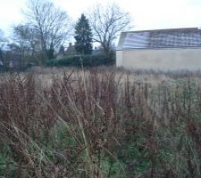 Notre terrain &agrave; nouveau avant travaux