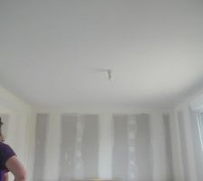 Encore et toujours, double ratissage de splafonds du rdc