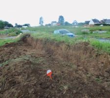 Bute ratibois&eacute;