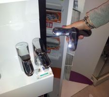 Choix sanitaires
