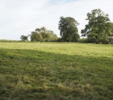 Vue compl&egrave;te de notre terrain