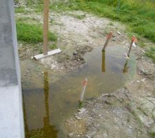 Mon spa, ma piscine, mon aquarium, mon bassin pour y mettre des nénuphars
