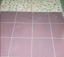 Carrelage dans la SDB joints (coté douche à l'italienne)