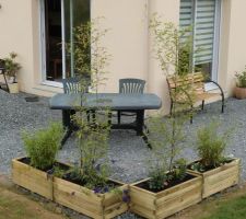 Jardinières avec des bambous et des tites fleurs au pied pour nous protéger des regards le temps que la haie ne pousse !