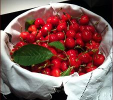 Les cerises de mon jardin