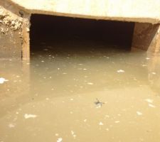 Vide sanitaire innondé