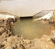 Vide sanitaire innondé