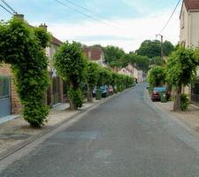 Notre rue, en pente, n&eacute;cessitant du m&ecirc;me coup un rang de parpaings d'approfondissement en plus pour les fondations de notre maison.