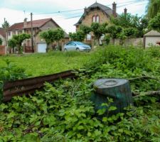 Depuis la parcelle voisine. Il va falloir d&eacute;gager tout &ccedil;a!