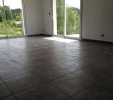 Pi&egrave;ce principale