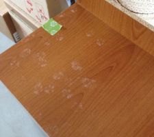On a pu suivre notre chat à la trace pendant un mois ... C'est le cas de le dire !