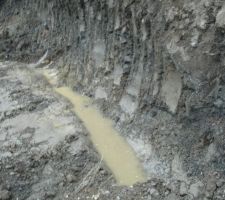 Premier coup de pelle et l'eau apparait...